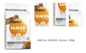 IAMS cat INDOOR chicken - 800g 1