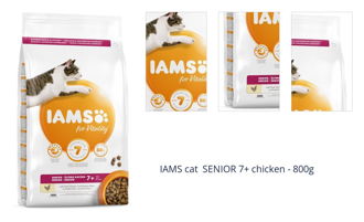 IAMS cat SENIOR 7+ chicken - 800g 1