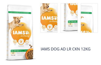 IAMS DOG AD LR CKN 12KG 1