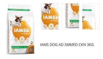 IAMS DOG AD SMMED CKN 3KG 1