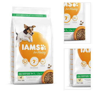 IAMS DOG AD SMMED CKN 3KG 3