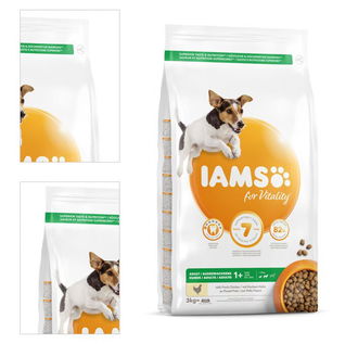 IAMS DOG AD SMMED CKN 3KG 4