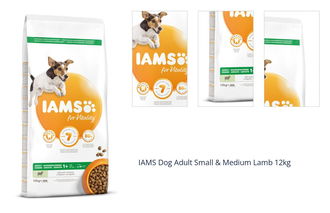 IAMS Dog Adult Small & Medium Lamb 12kg 1