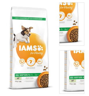 IAMS Dog Adult Small & Medium Lamb 12kg 3