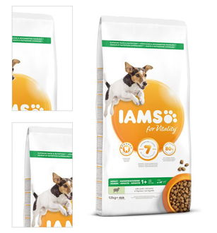 IAMS Dog Adult Small & Medium Lamb 12kg 4