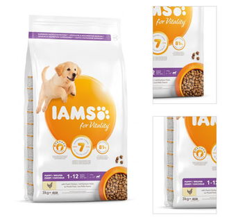 IAMS DOG PUP LR CKN 3KG 3