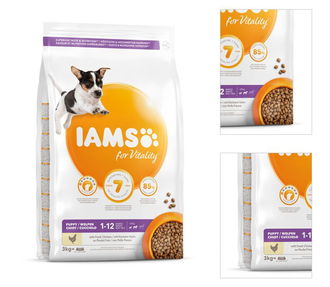 IAMS DOG PUP SMMED CKN 3KG 3