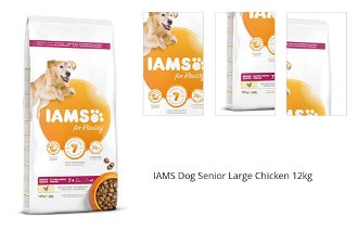 IAMS Dog Senior Large Chicken 12kg 1