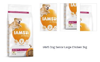 IAMS Dog Senior Large Chicken 3kg 1