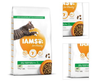 IAMS granuly pre dospelé mačky jahňa 10kg 3