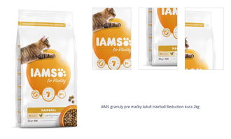 IAMS granuly pre mačky Adult Hairball Reduction kura 2kg 1