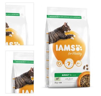 IAMS granuly pre mačky Cat Adult Lamb 2kg 4