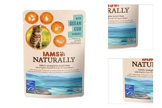 IAMS Naturally Adult Cat with Natural Cod in Gravy 85g 3