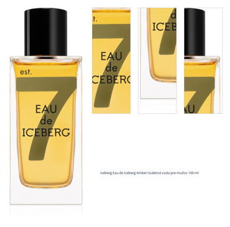 Iceberg Eau de Iceberg Amber toaletná voda pre mužov 100 ml 1