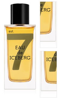 Iceberg Eau de Iceberg Amber toaletná voda pre mužov 100 ml 3