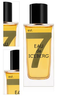 Iceberg Eau de Iceberg Amber toaletná voda pre mužov 100 ml 4