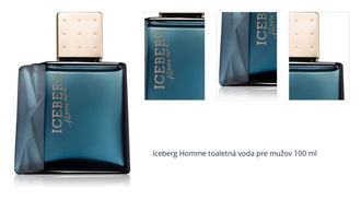 Iceberg Homme toaletná voda pre mužov 100 ml 1