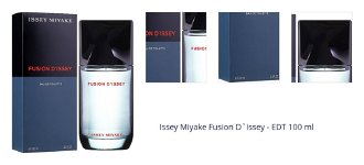 Issey Miyake Fusion D`Issey - EDT 100 ml 1