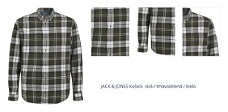 JACK & JONES Košeľa  sivá / tmavozelená / biela 1