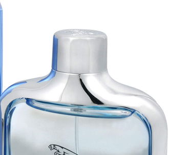 Jaguar Classic - EDT 100 ml 7