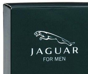 Jaguar For Men - EDT 100 ml 6