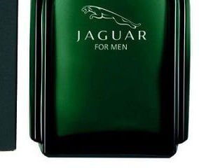 Jaguar For Men - EDT 100 ml 9