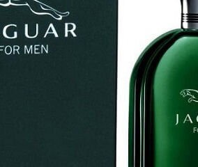 Jaguar For Men - EDT 100 ml 5
