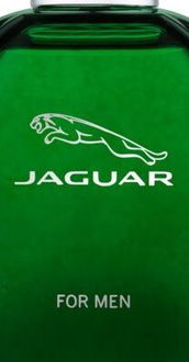 Jaguar For Men toaletná voda pre mužov 100 ml 5