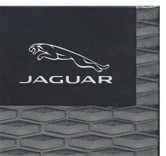 Jaguar Stance Jaguar - EDT 100 ml 7