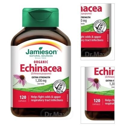 JAMIESON ECHINACEA 1200 mg 8