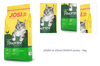 JOSERA cat JOSIcat CRUNCHY poultry - 18kg 1