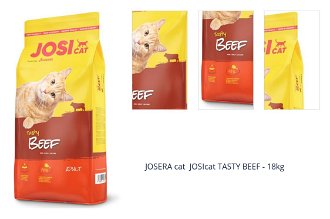 JOSERA cat  JOSIcat TASTY BEEF - 18kg 1