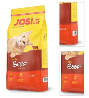 JOSERA cat  JOSIcat TASTY BEEF - 18kg 3