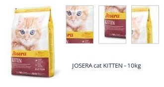 JOSERA cat KITTEN - 10kg 1