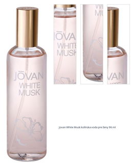 Jovan White Musk kolínska voda pre ženy 96 ml 1