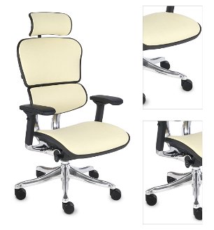 Kancelárska stolička s podrúčkami Efuso LE - krémová / čierna / chróm 3