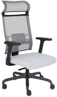 Kancelárska stolička s podrúčkami Elonix - svetlosivá / čierna 2