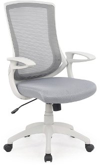 Kancelárska stolička s podrúčkami Igor - sivá / svetlosivá 2