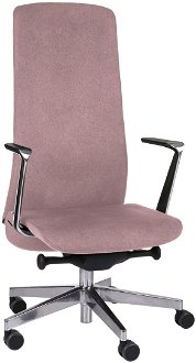Kancelárska stolička s podrúčkami Starmit AL1 - staroružová / chróm 2