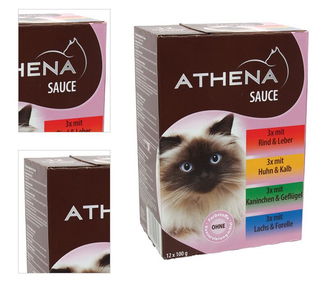 Kapsička Athena Gravy Multipack 12x100g 4