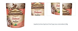 Kapsička Carnilove Dog Pouch Paté Puppy losos s čučoriedkami 300g 1