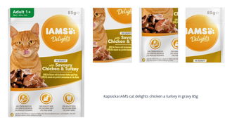 Kapsička IAMS cat delights chicken a turkey in gravy 85g 1