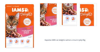 Kapsicka IAMS cat delights salmon a trout in jelly 85g 1