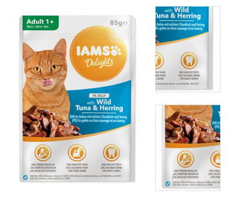 Kapsička IAMS cat delights tuna a herring in jelly 85g 3