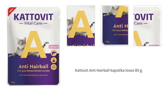 Kattovit Anti Hairball kapsička losos 85 g 1