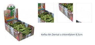 Kefka Mr.Dental s chlorofylom 8,5cm 1