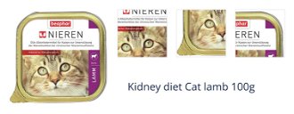 Kidney diet Cat lamb 100g 1