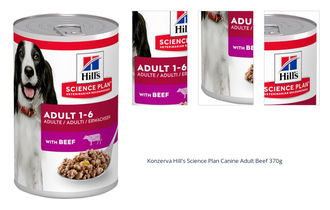 Hill's konzerva Science Plan Canine Adult Beef 370 g 1