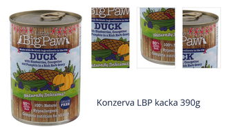 Konzerva LBP kacka 390g 1