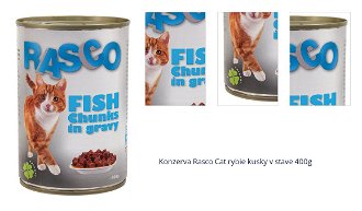Konzerva Rasco Cat rybie kusky v stave 400g 1